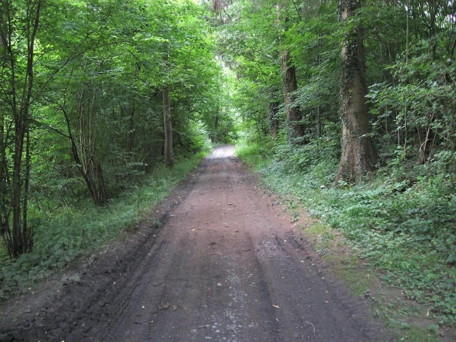 Gite Rural "L'Anseromia" Dinant Luaran gambar