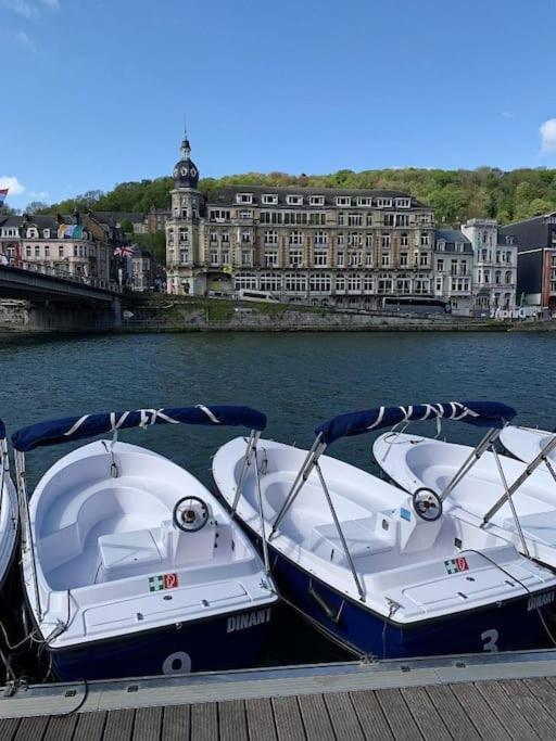 Gite Rural "L'Anseromia" Dinant Luaran gambar